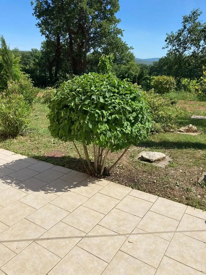 ヴィラ Flassan La Bastide De L'Olivierヴィラ